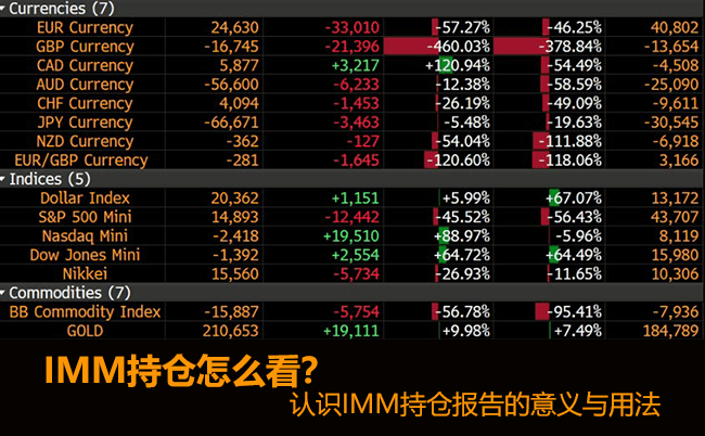 IMM持仓报告查询